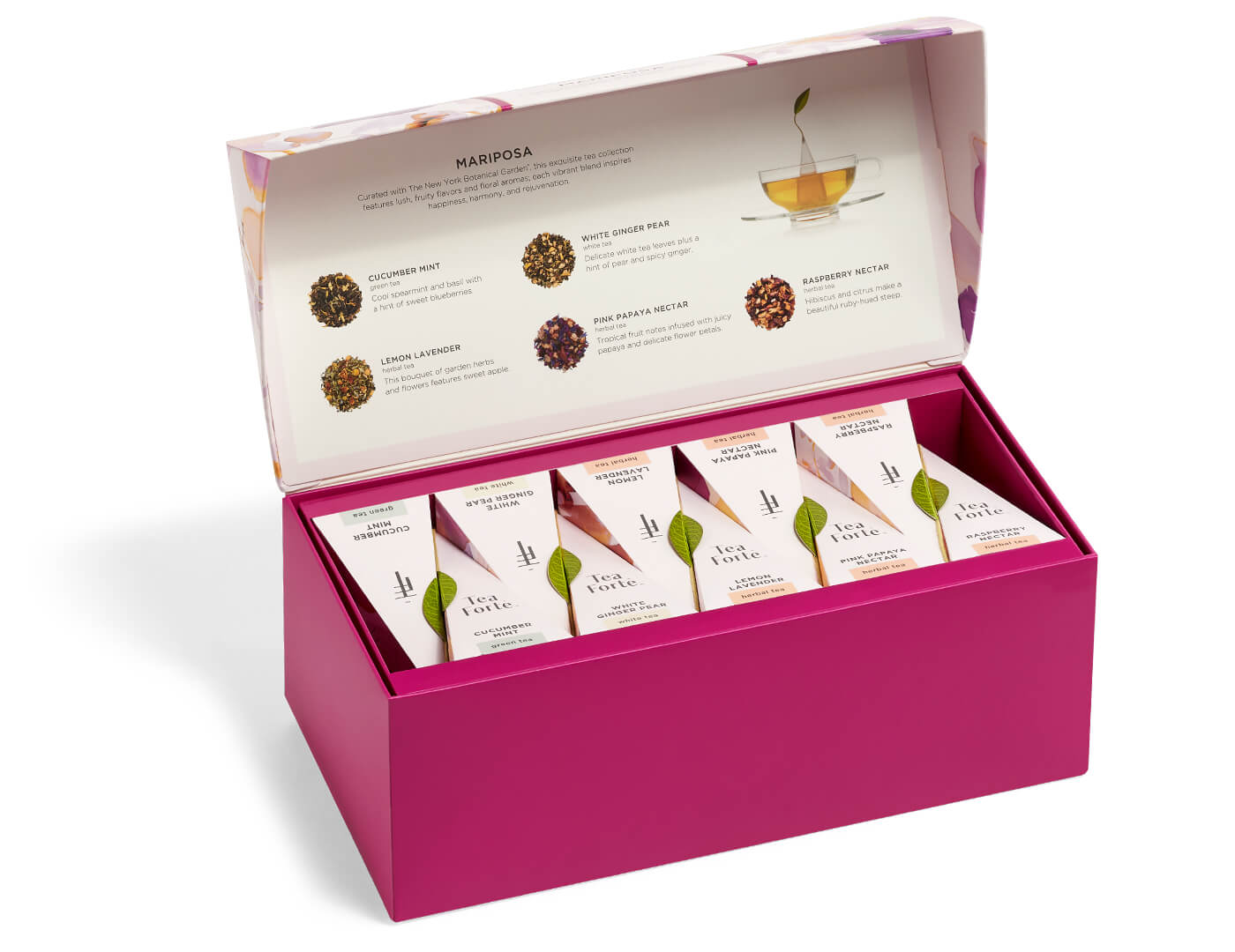 Mariposa Presentation Box of 20 pyramid tea infusers, open