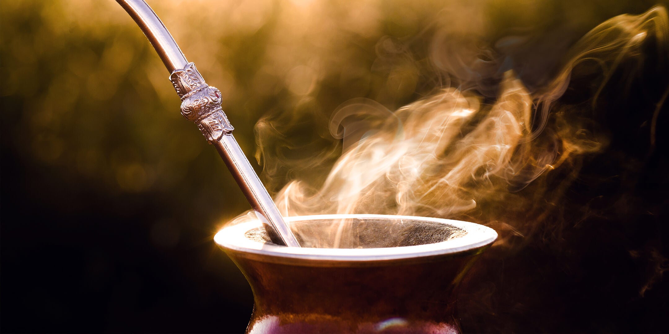 Hot maté tea in a bombilla on a dark background steaming in the light