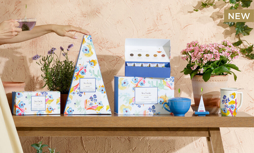 The NEW Volaré Collection against a stucco wall and arranged on a wooden table with plants and teacups