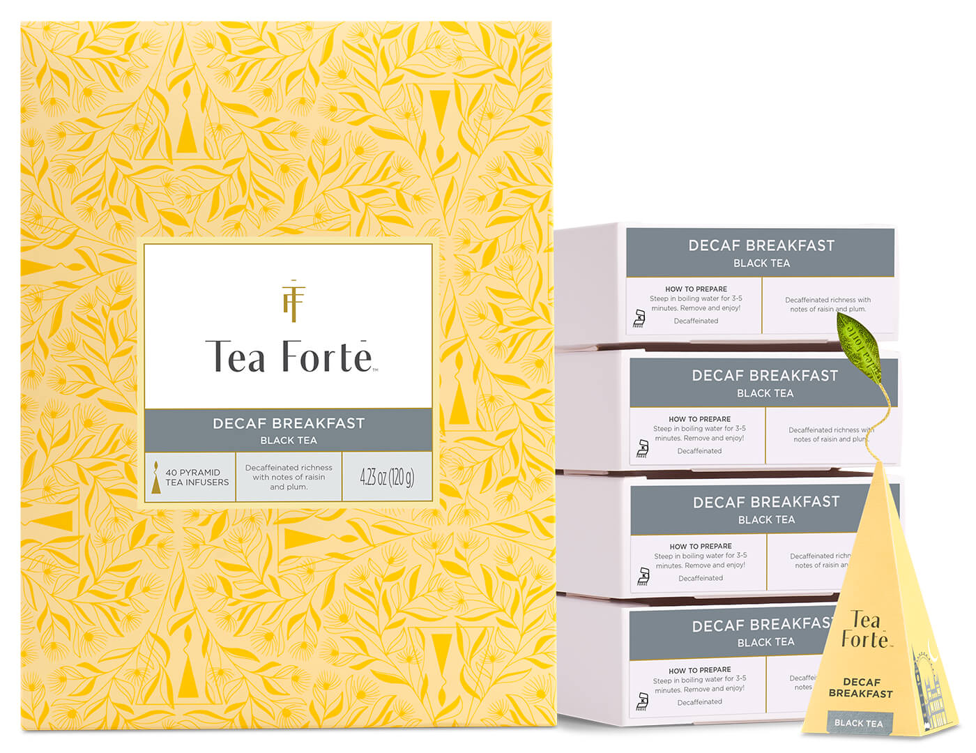 Decaf Breakfast Event Box 40ct, open with infuser