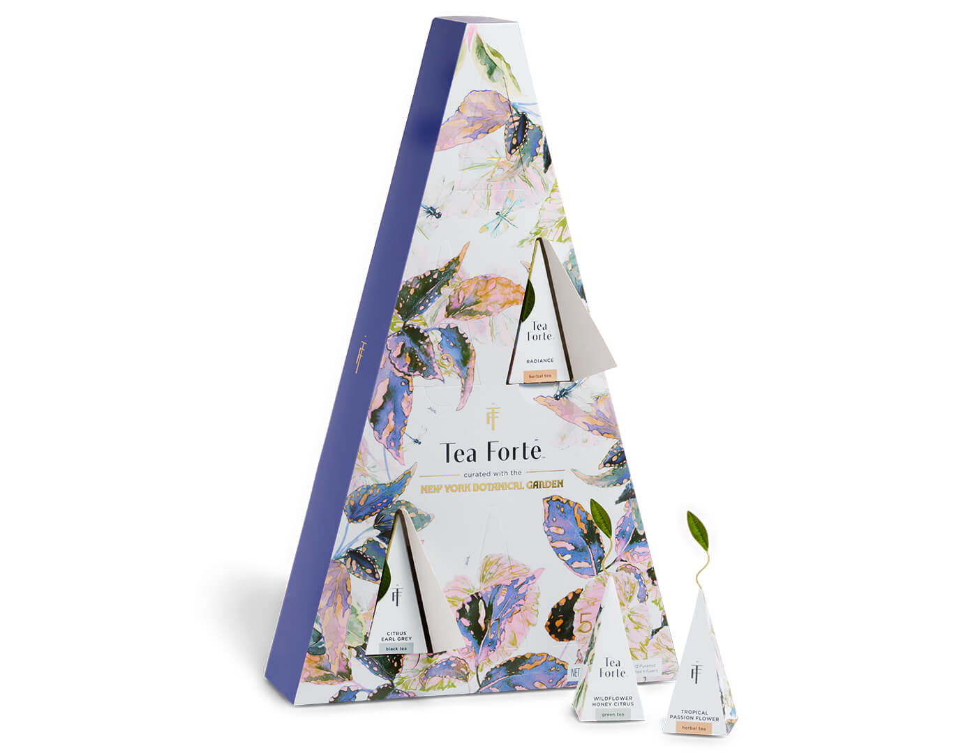 Demoiselle Advent Box of 12 teas, box shown with infusers and doors open