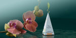 Tea blend Spotlight, Tropical Passion Flower, infuser with orchids