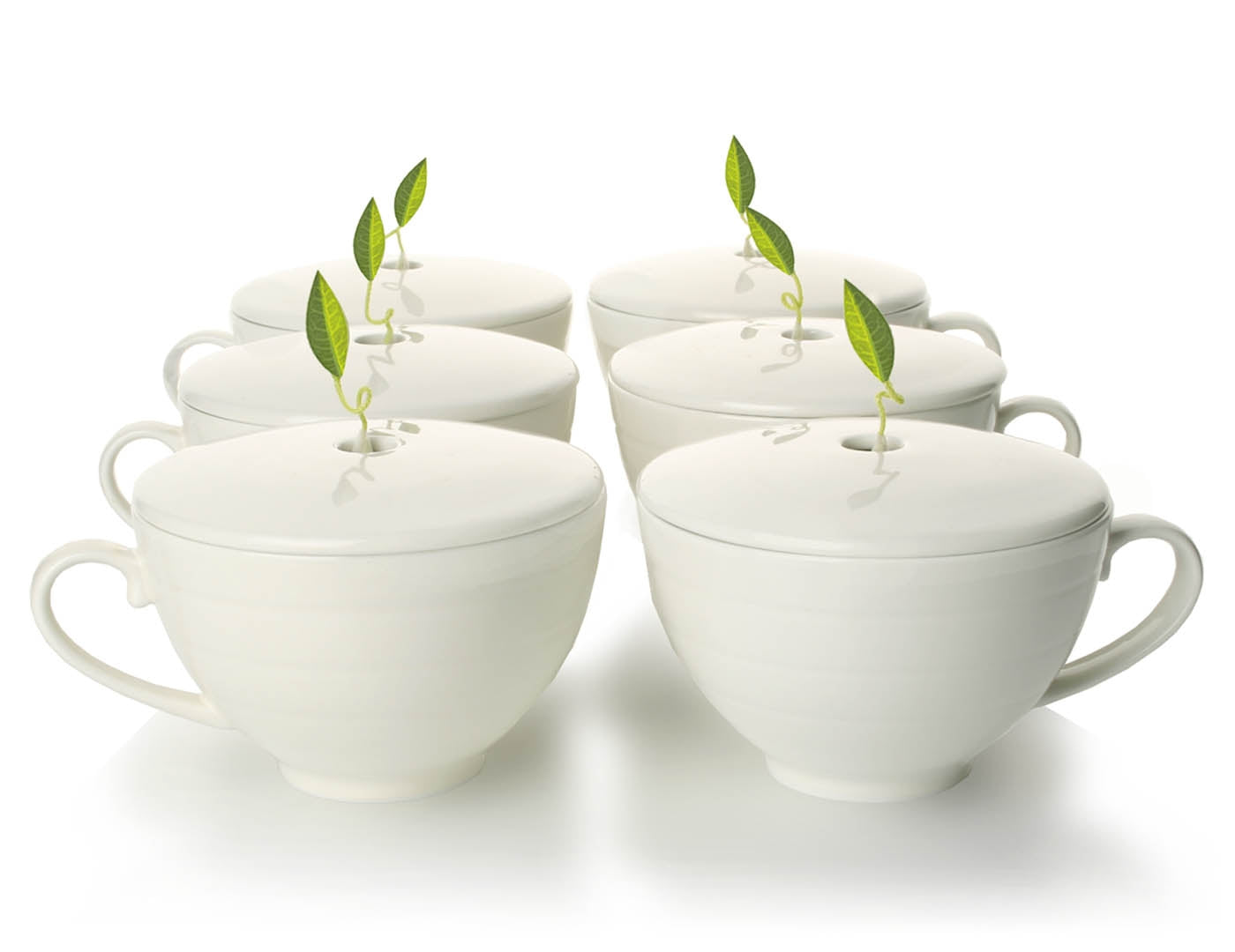 Set of Six Café Cups